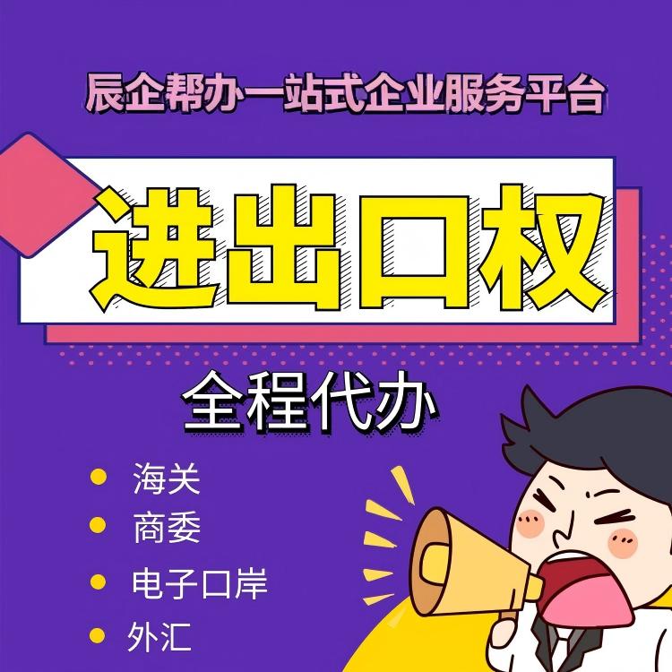 自营进出口权办理过程中，哪些环节最容易出现问题？如何避免？
